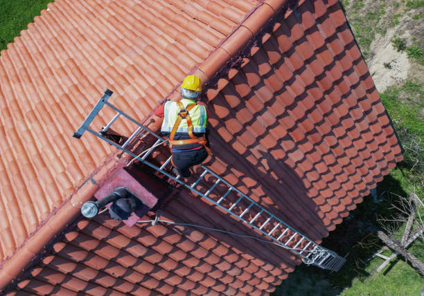 Best Roof Maintenance and Cleaning  in Roxborough Park, CO